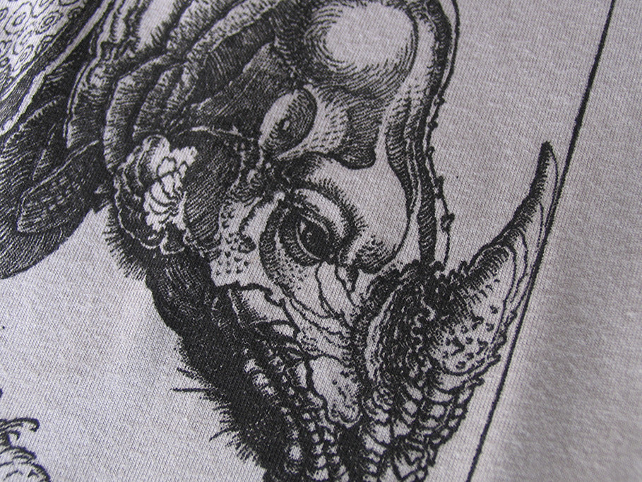 Dürerhino
