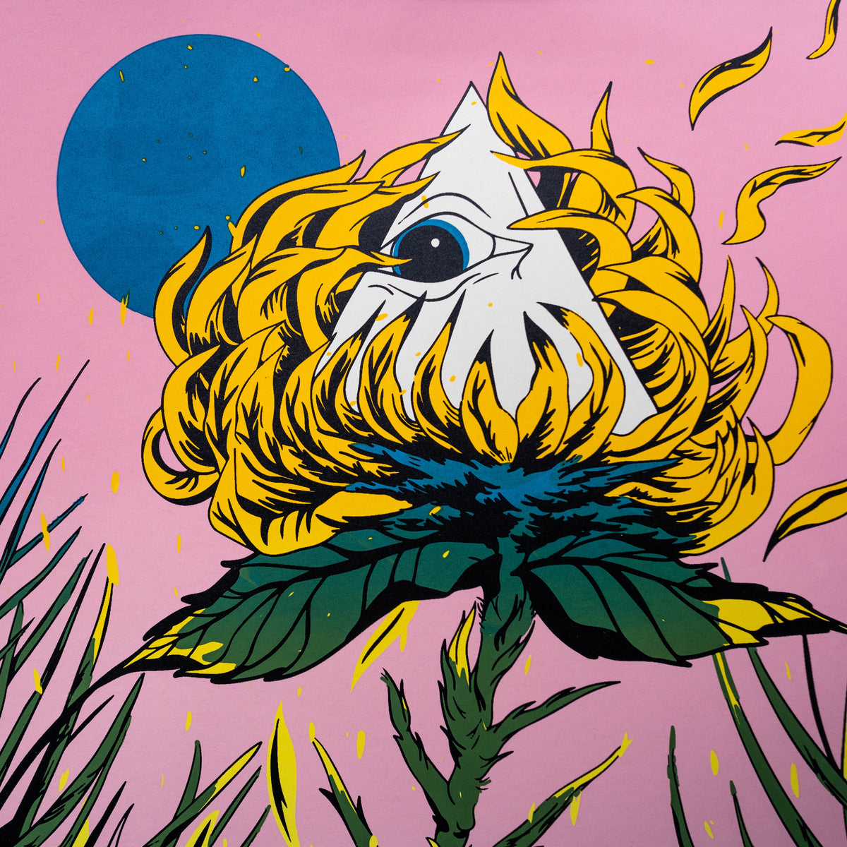 Eyeflower